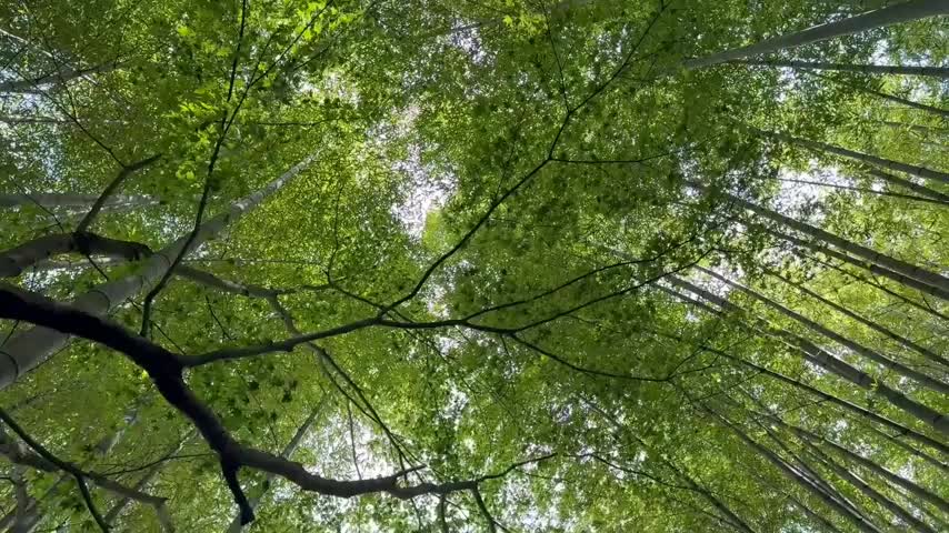 @user8179924120747