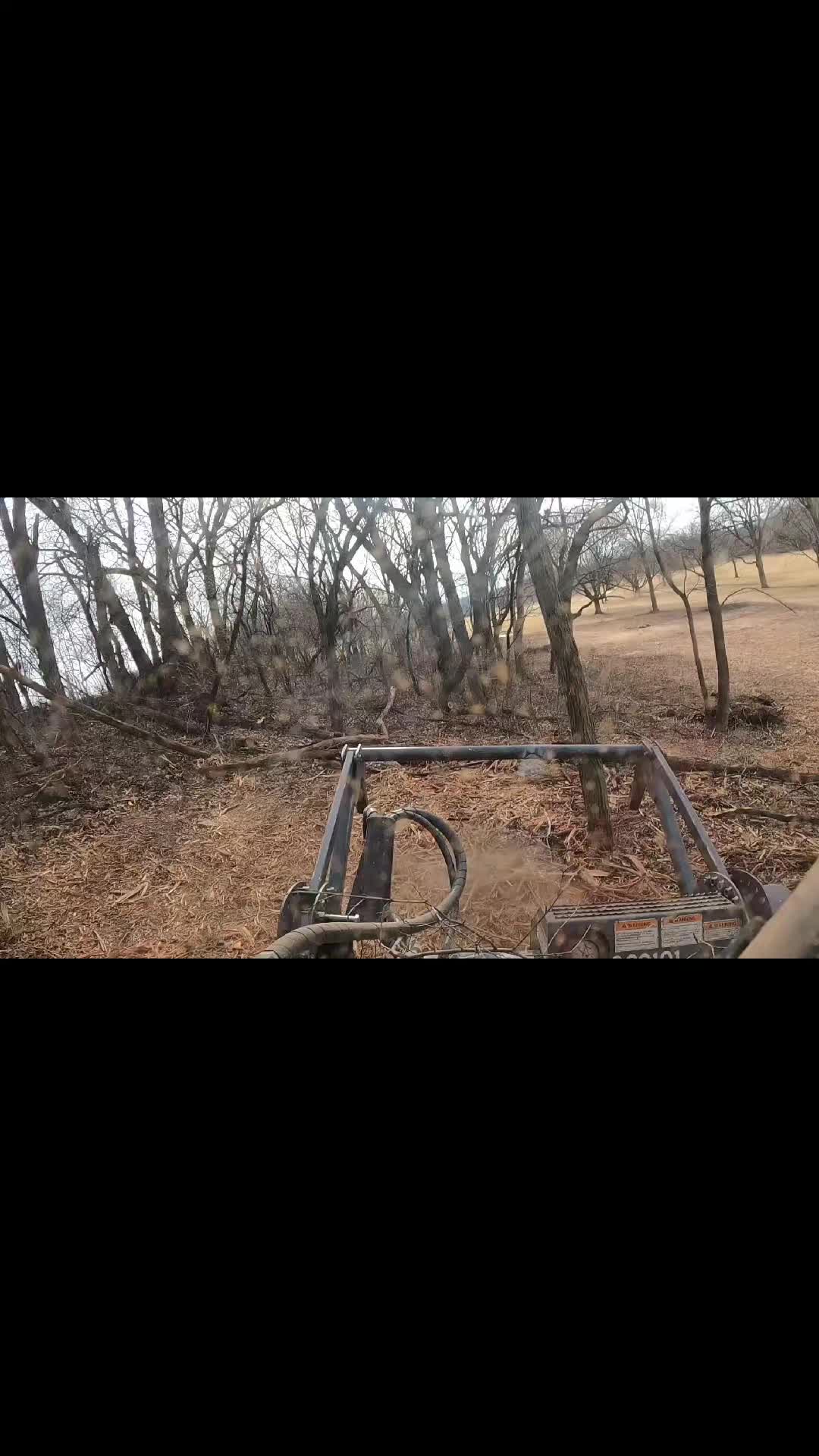 @The_Lil_Camel