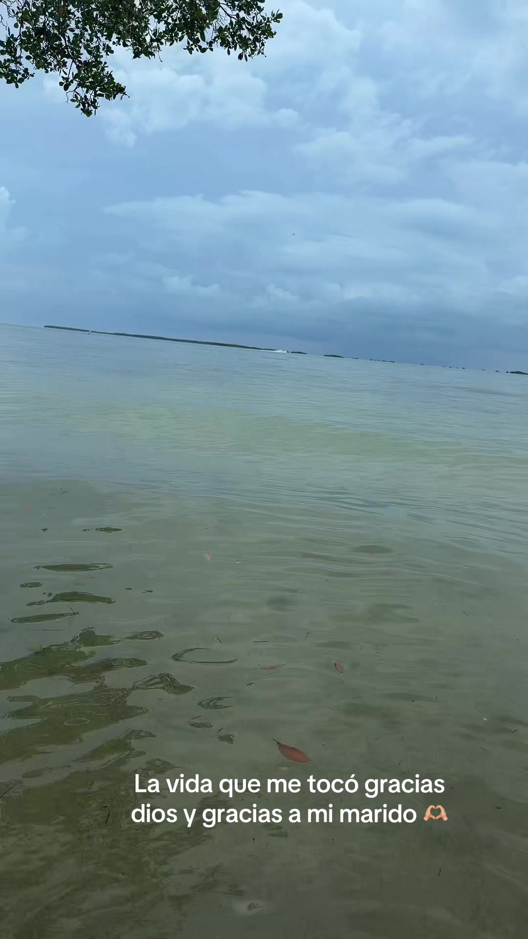 @Karlaaaa🦈🧜🏼&zwj;♀️🧬