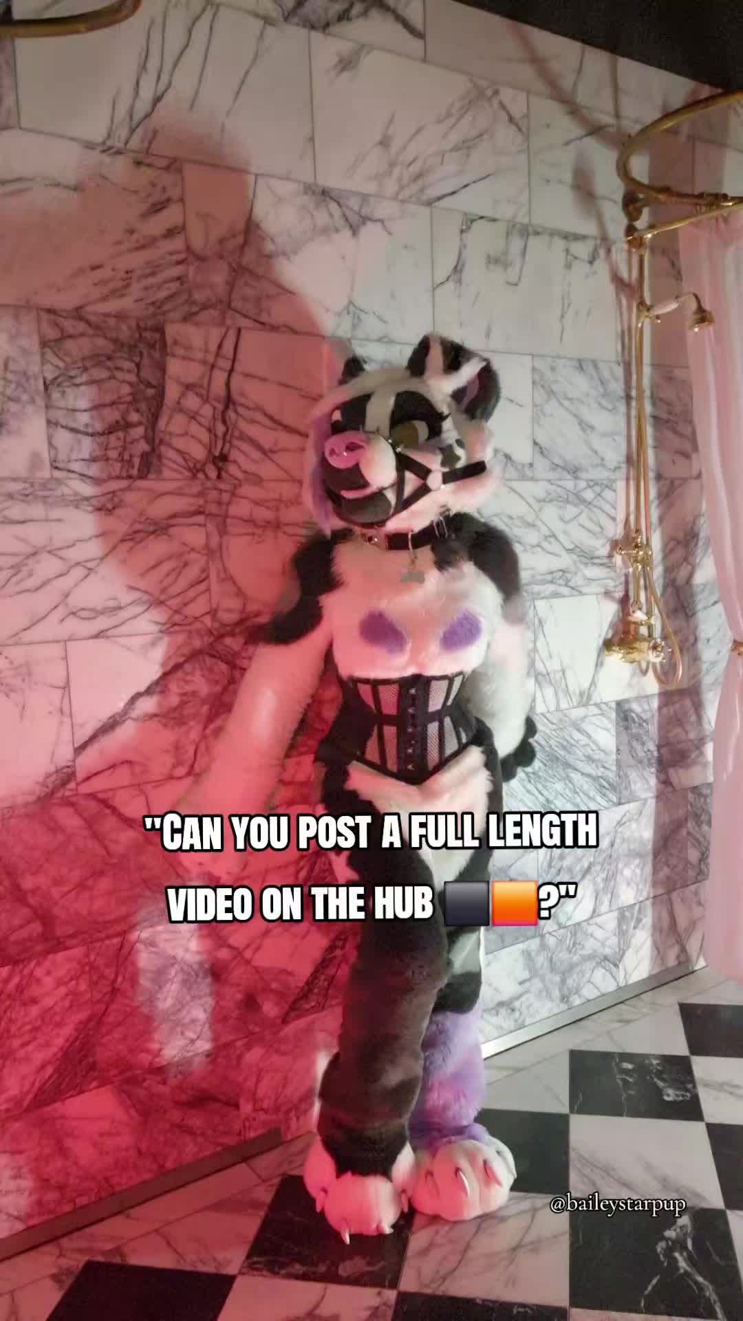 @Bailey (lilpixiekitten)