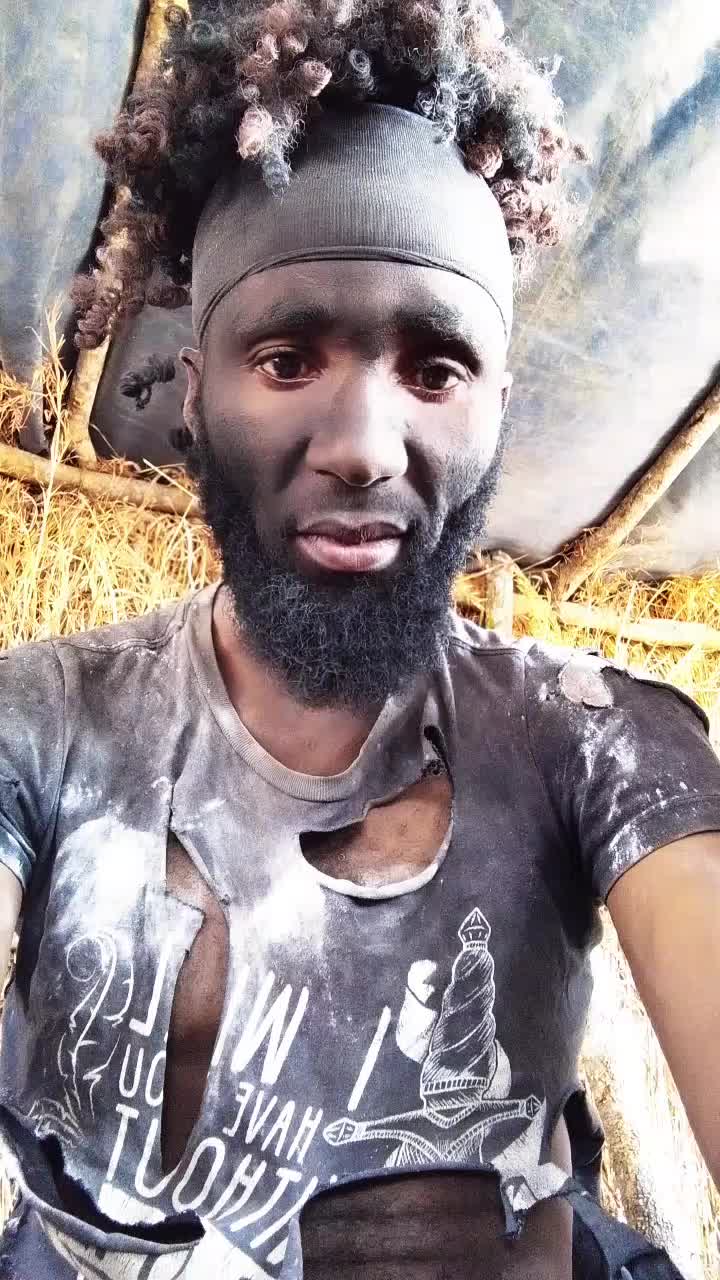 @santors bashi favour