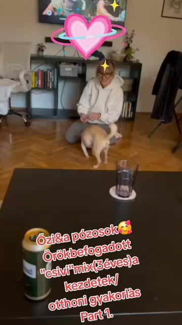 @Viki-Kutyakozmetika Másképp