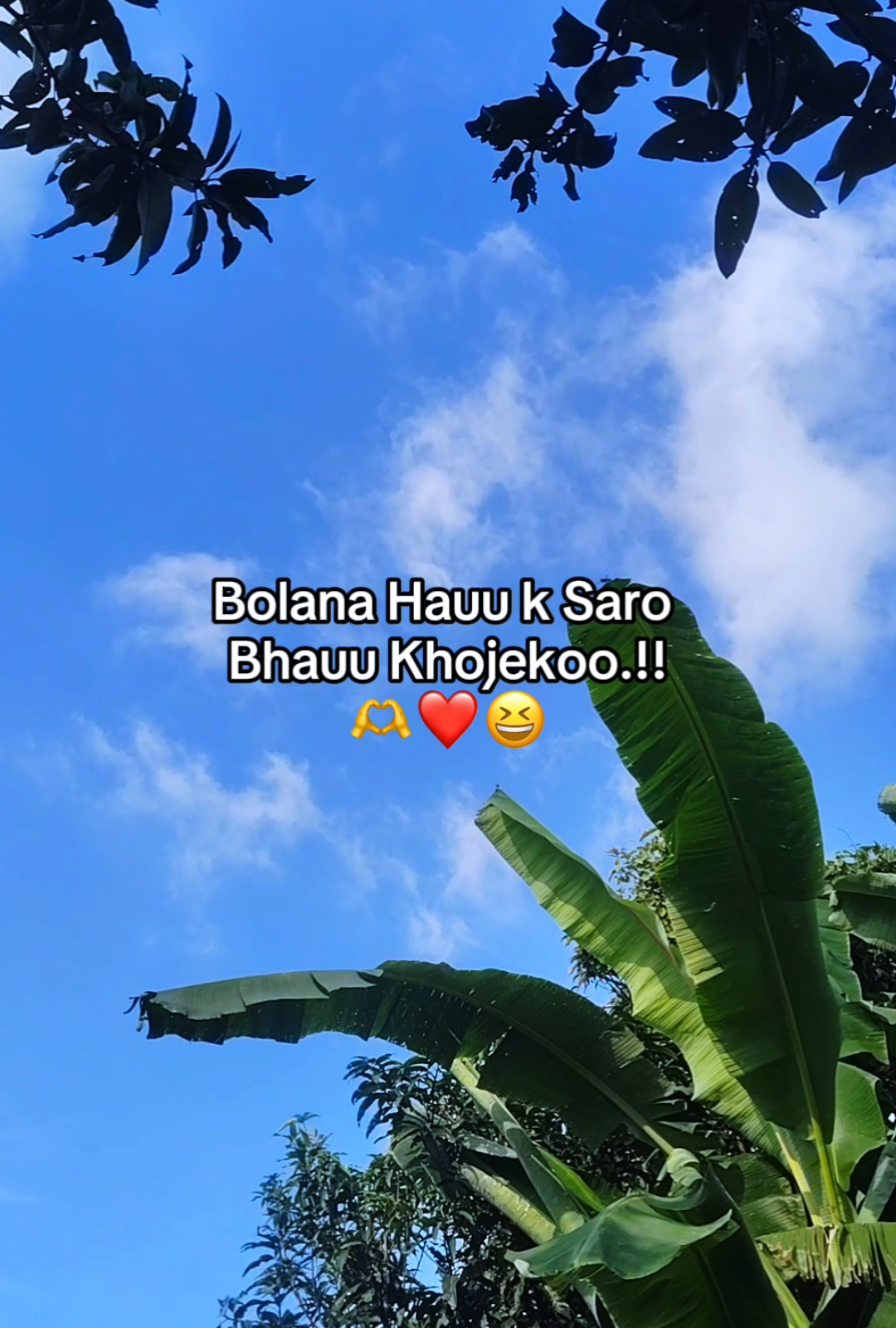 @𝖬𝗋 𝖯ɪɴᴛᴜ♡