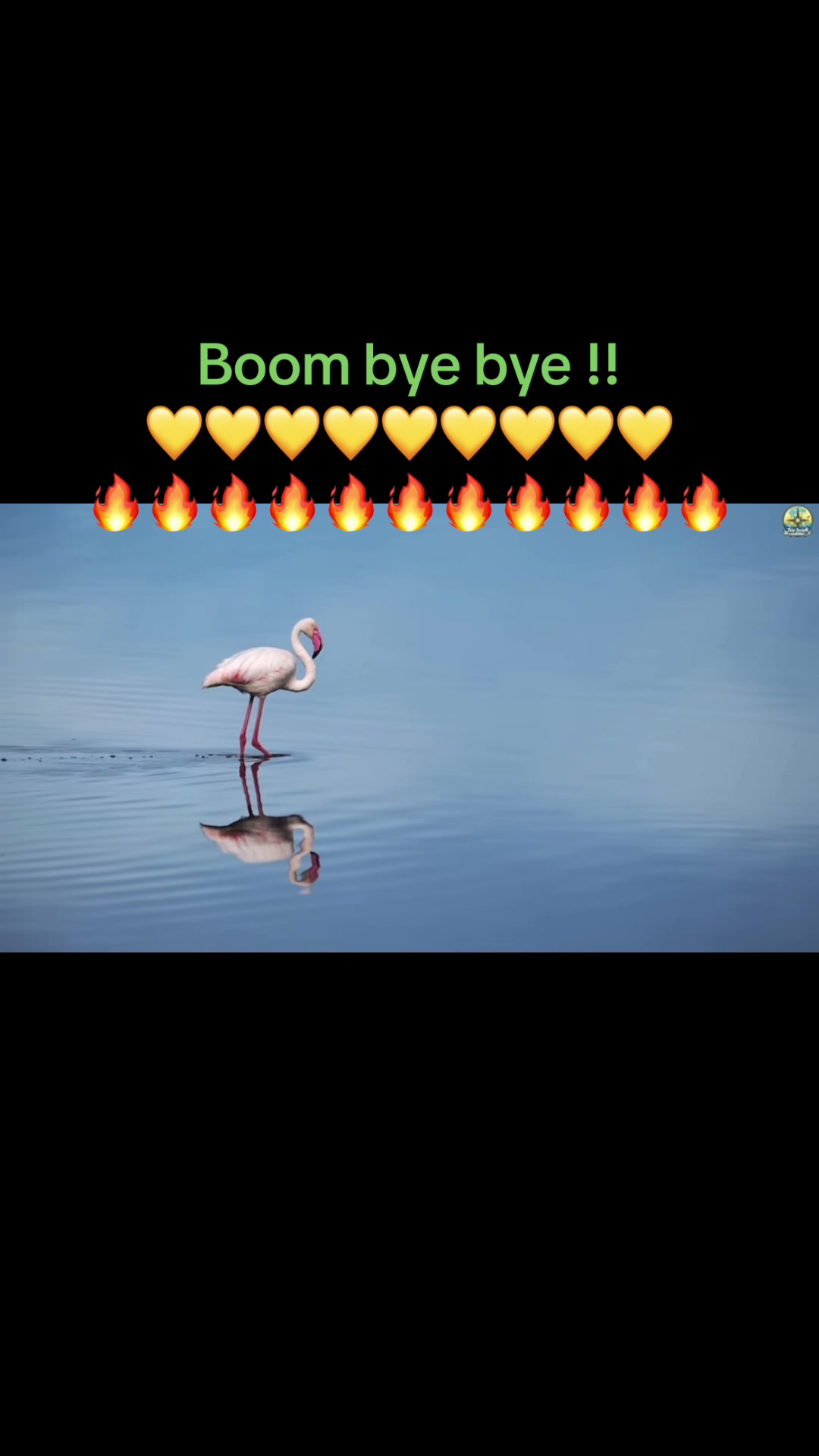@LL2pacshakur๐๏ธ๐๏ธ๐๏ธ๐๏ธ๐๏ธ