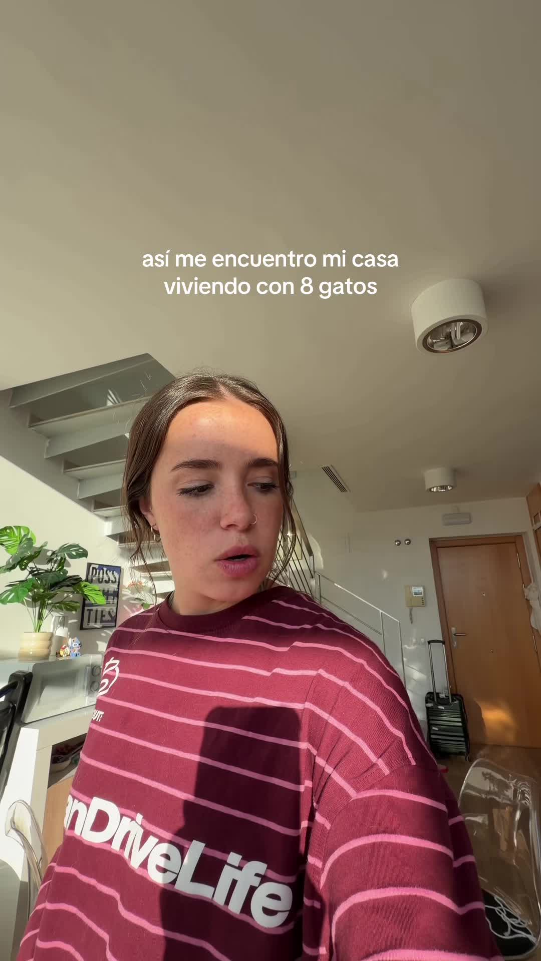 @noacruz