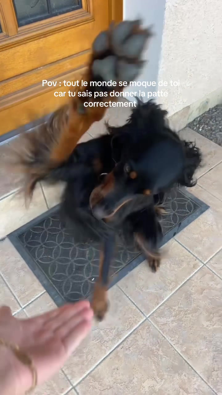 @Marconne