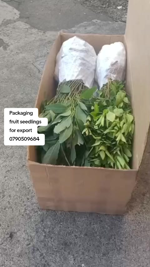 @FarmersTrend