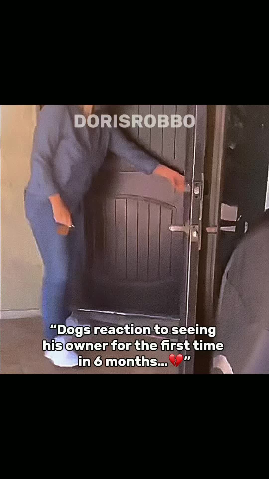 @doris_robbo