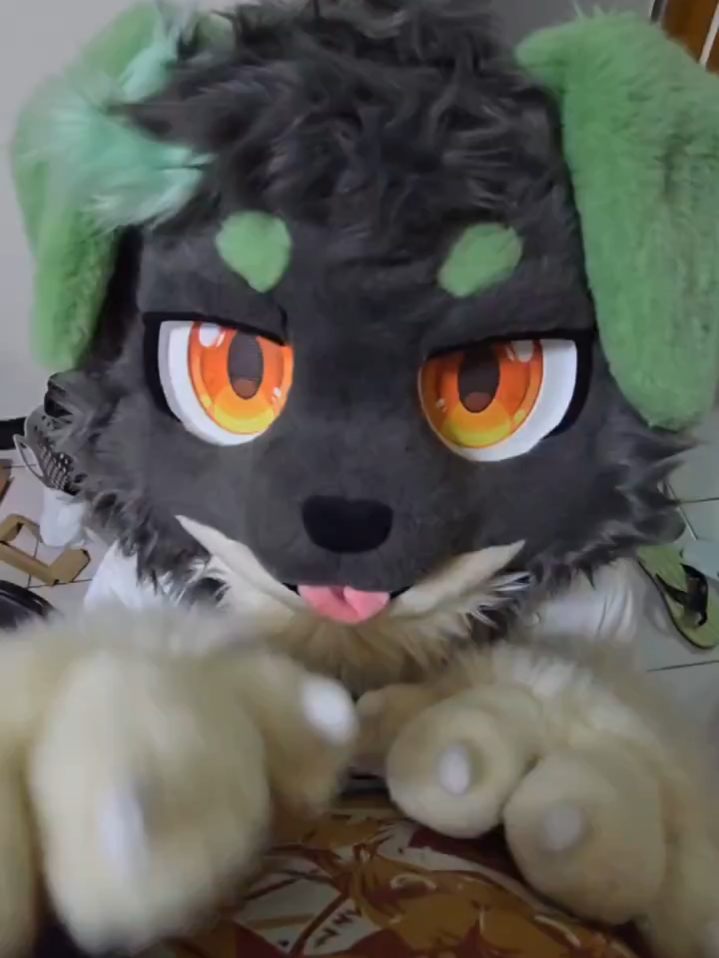 @radywolf
