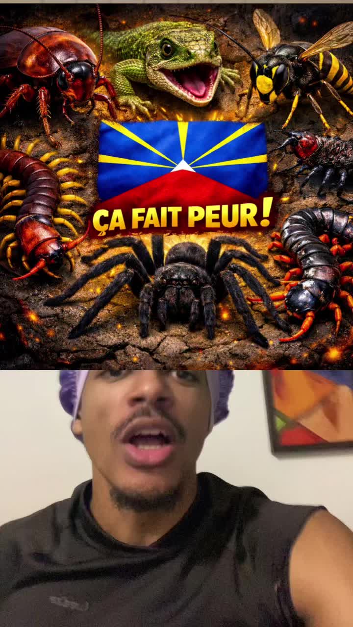 @Bibi