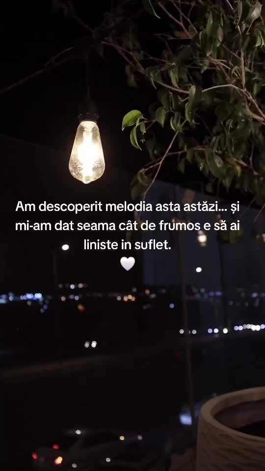 @alexandru_one