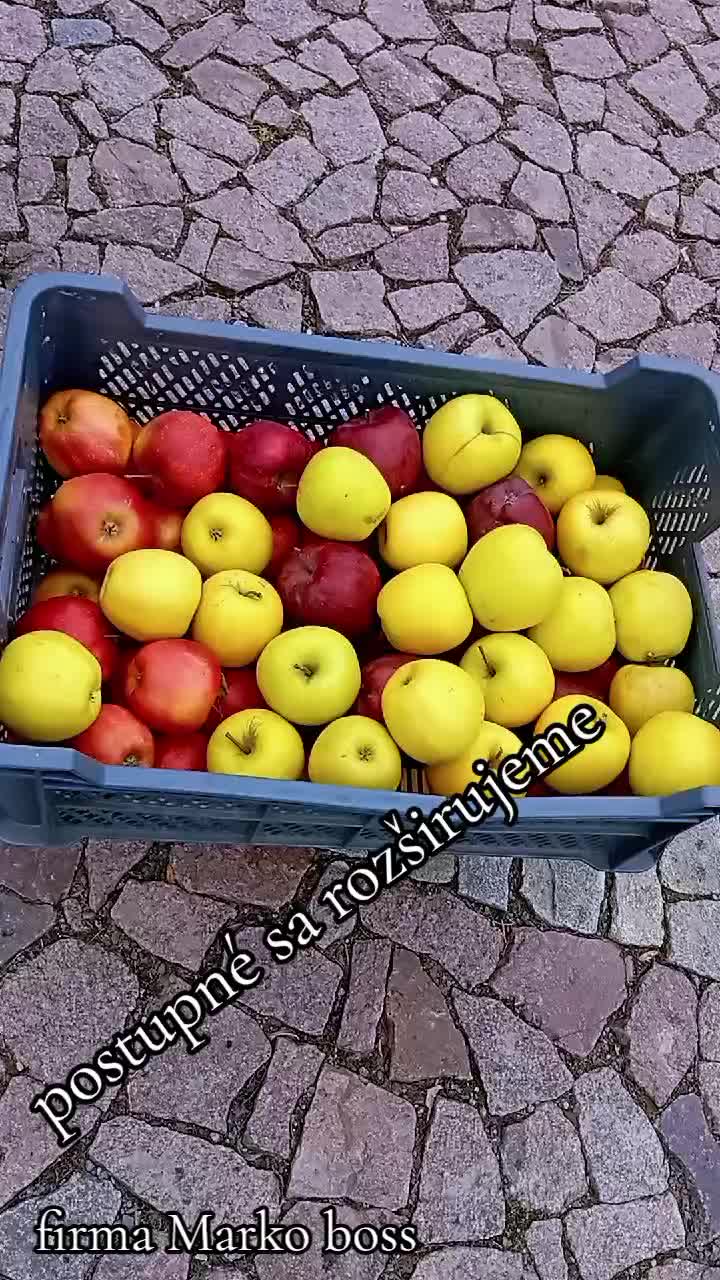 @Marko boss