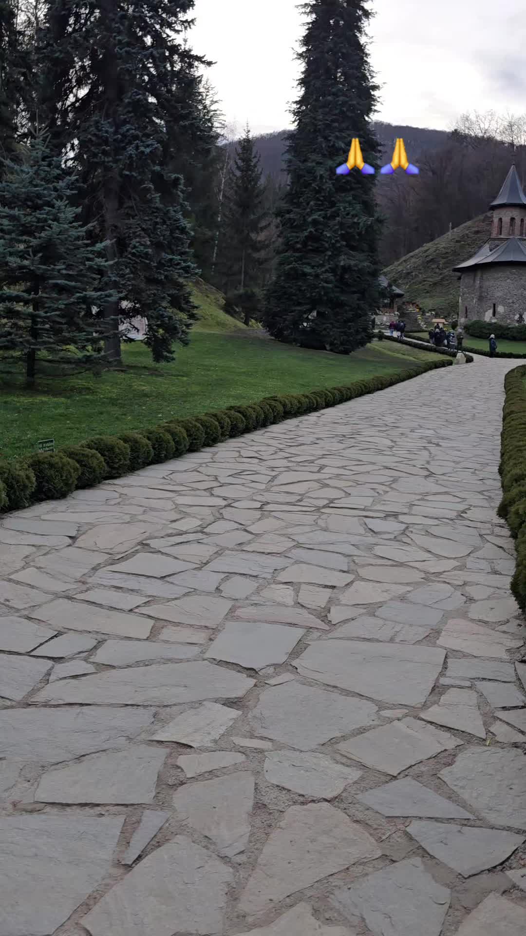@Ionela Sorina Grigor