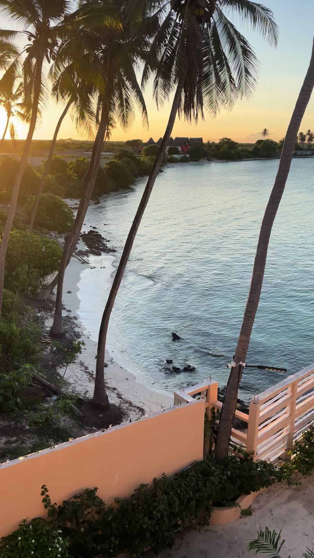 @no10bungalow_reno