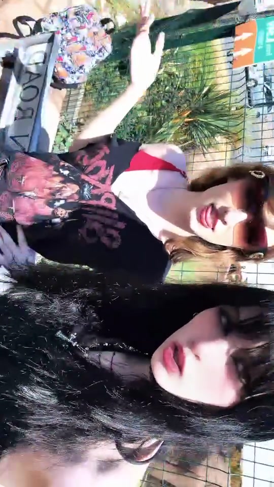@noctivellrxn
