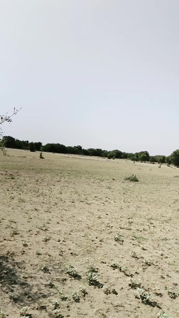 @غیرتی جانان