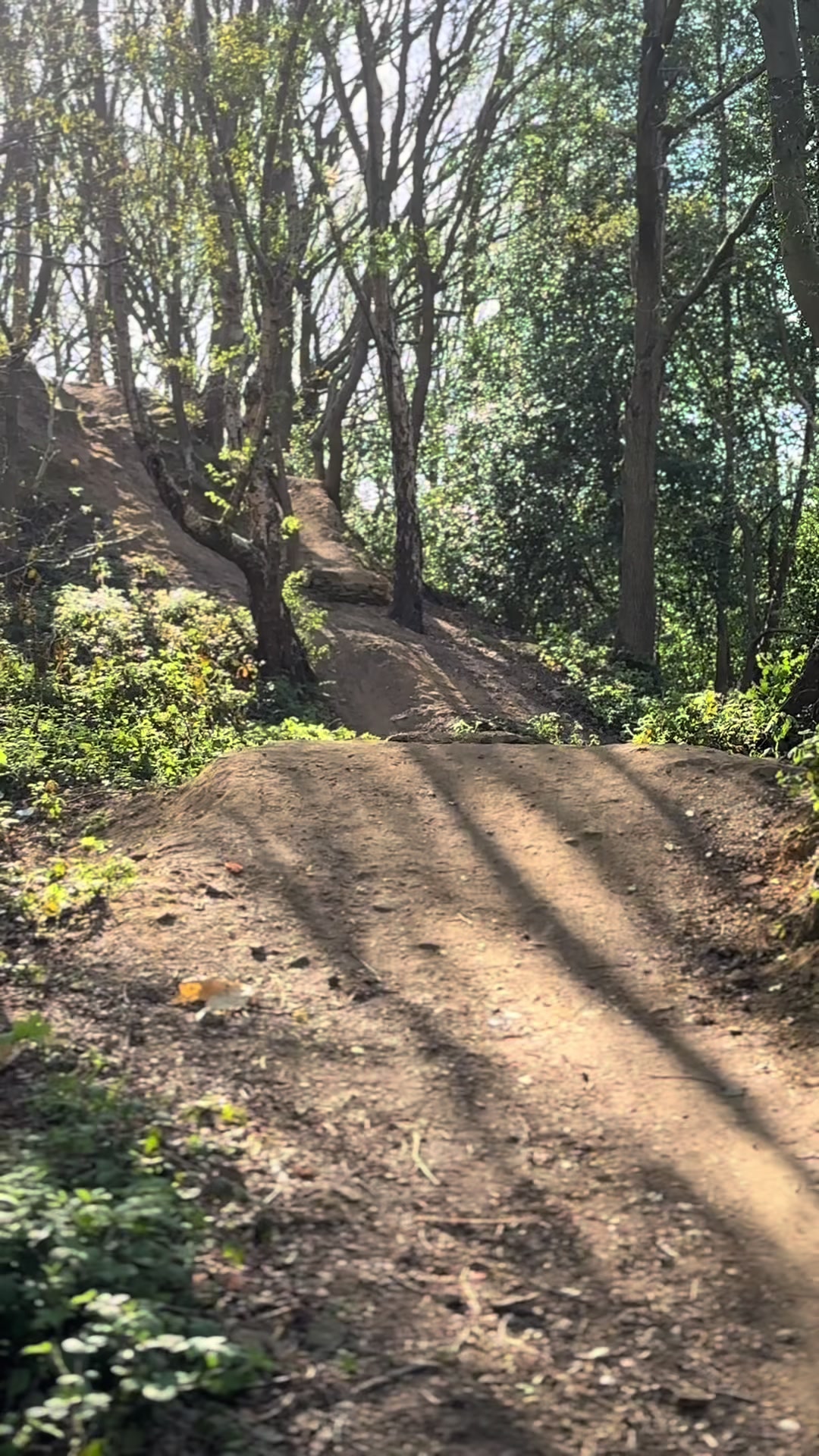 @Steezy Steve 🚵🏴