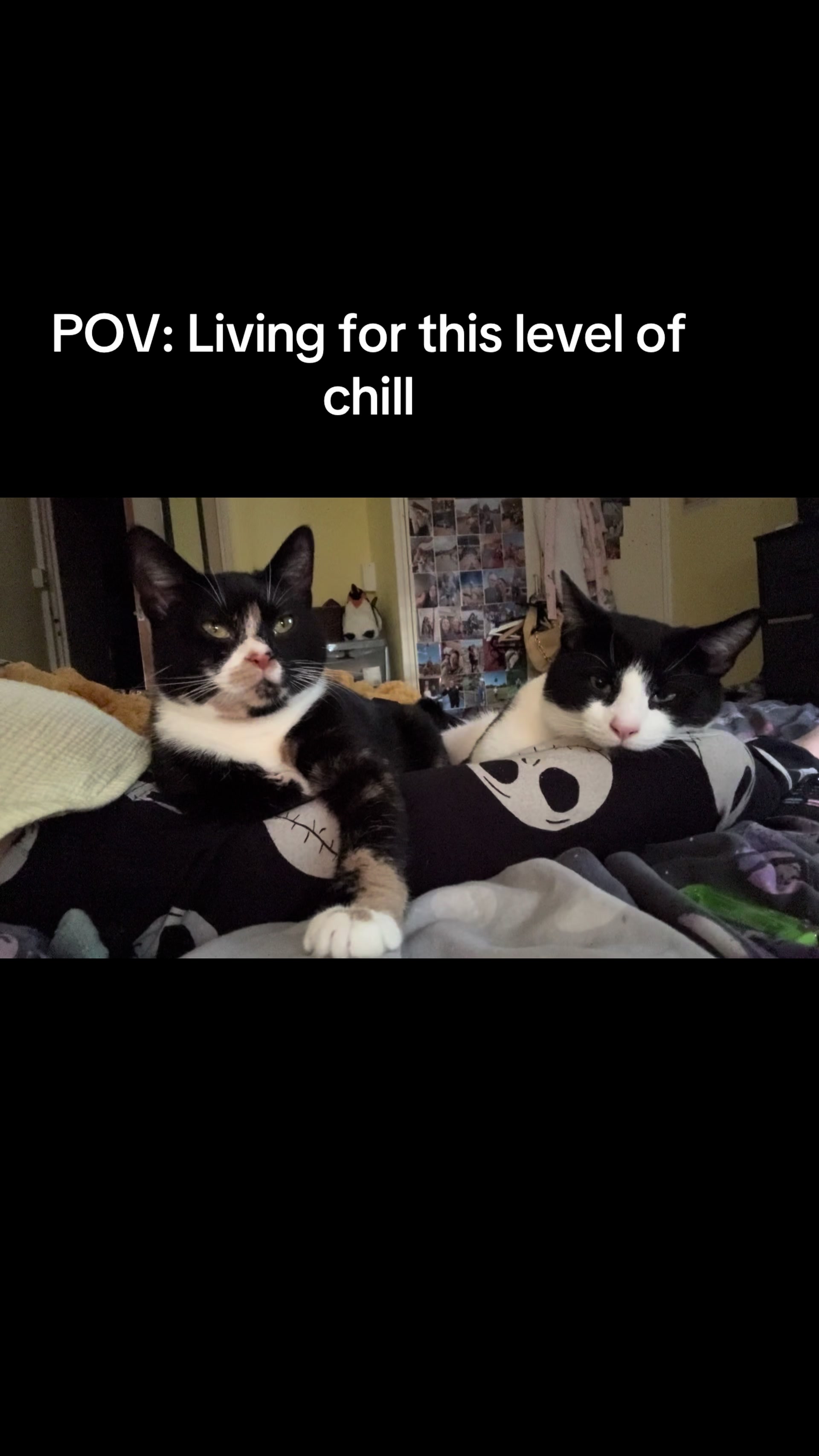 @Paigeyy