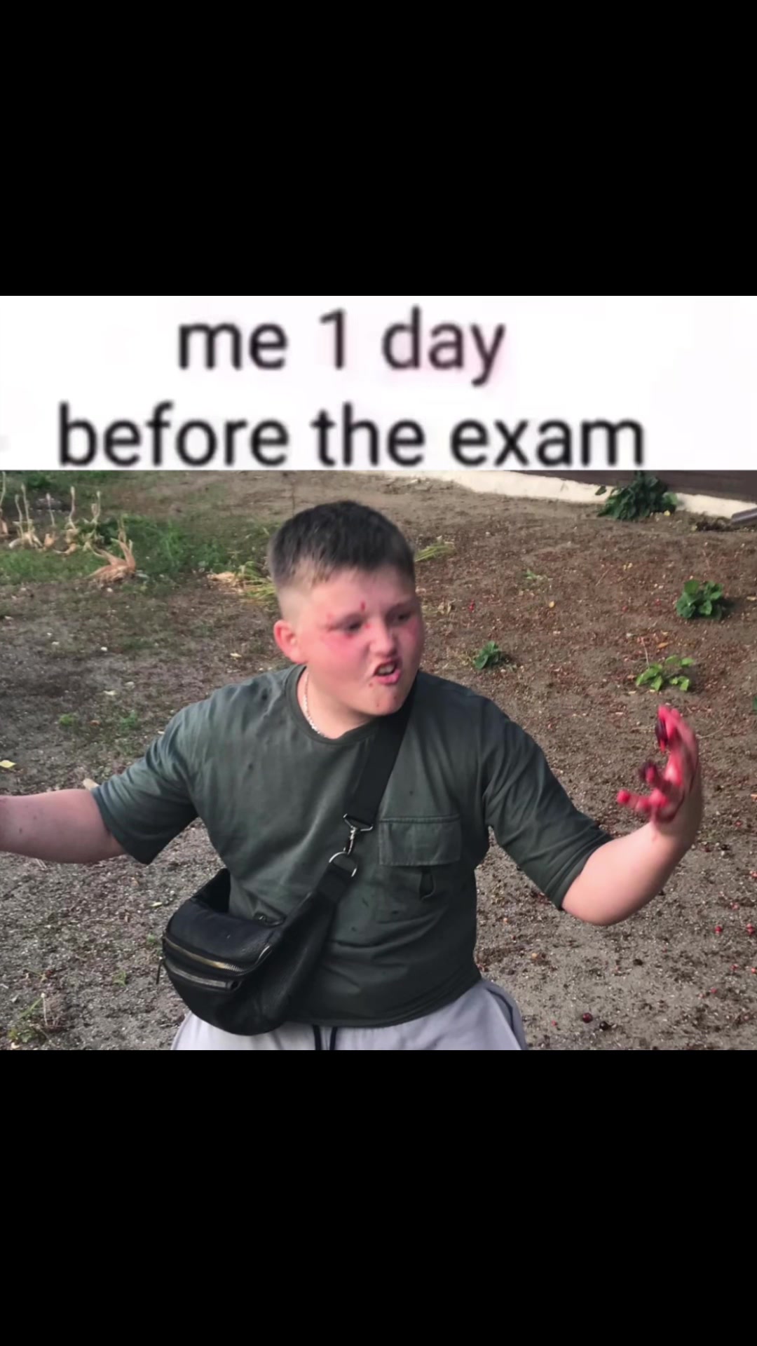 @dartoui