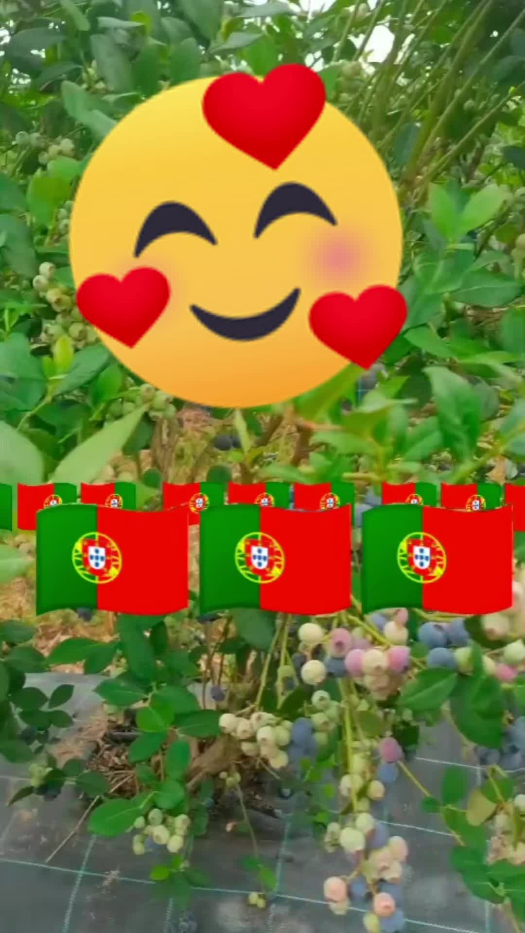 @KAMAL❤️❤️