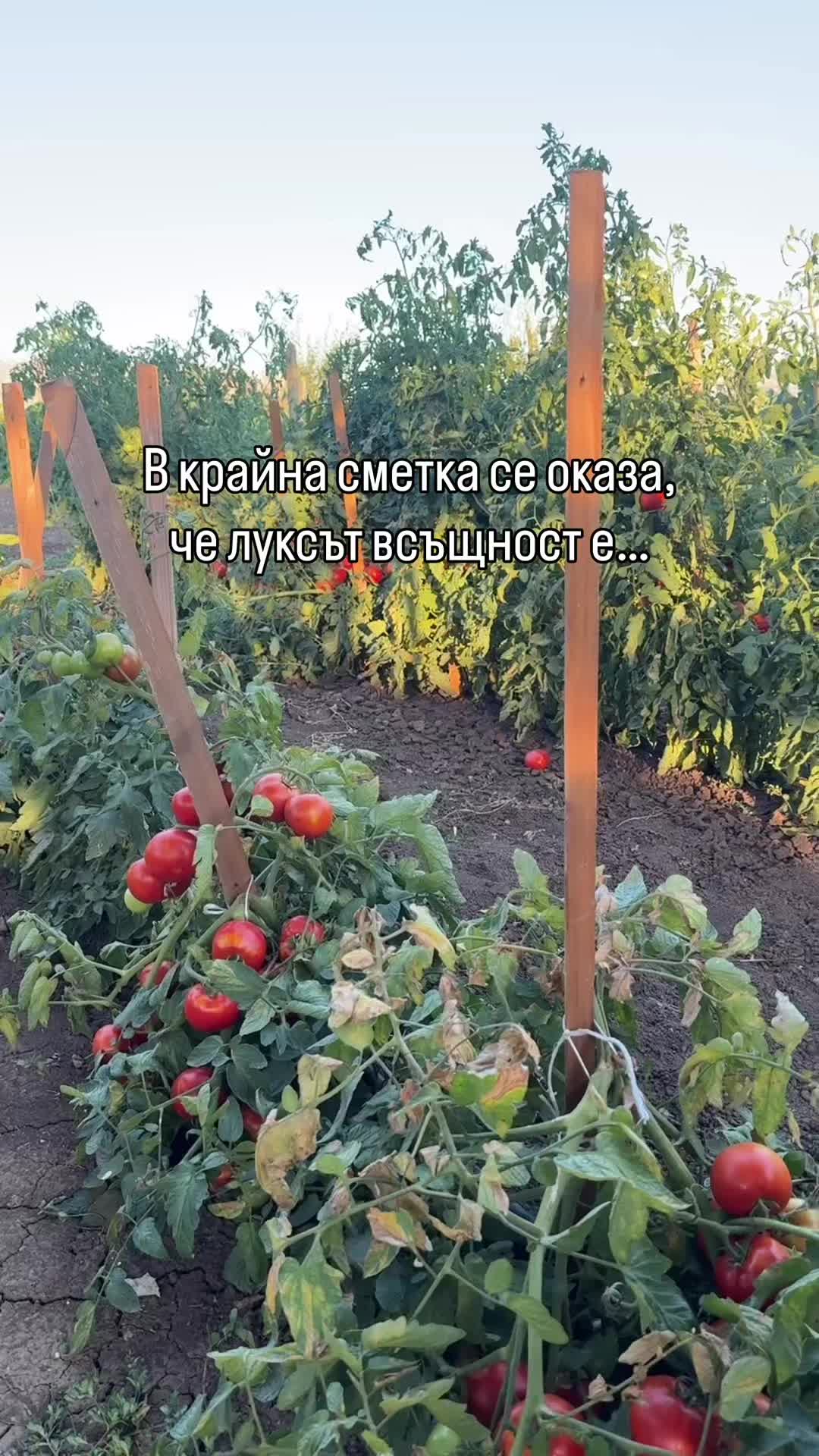 @@stacy.stoyanova