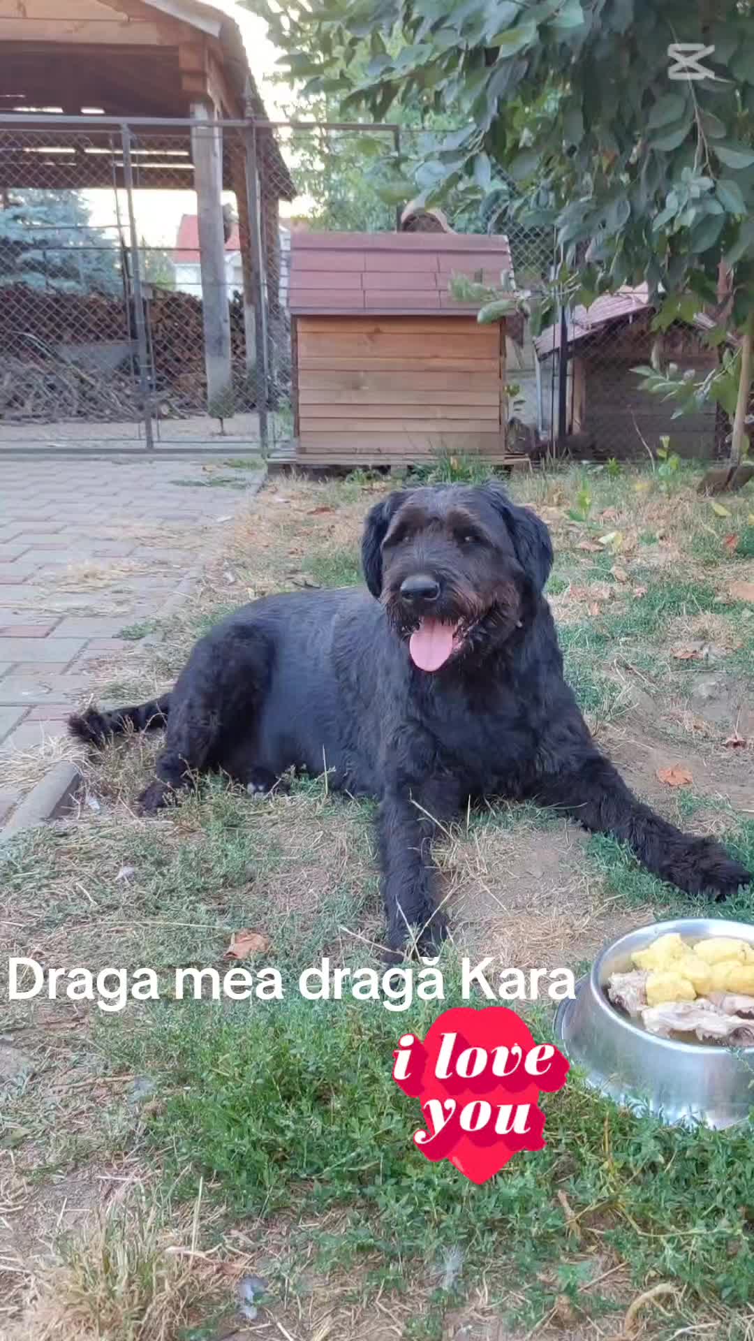 @Balasz Anamaria
