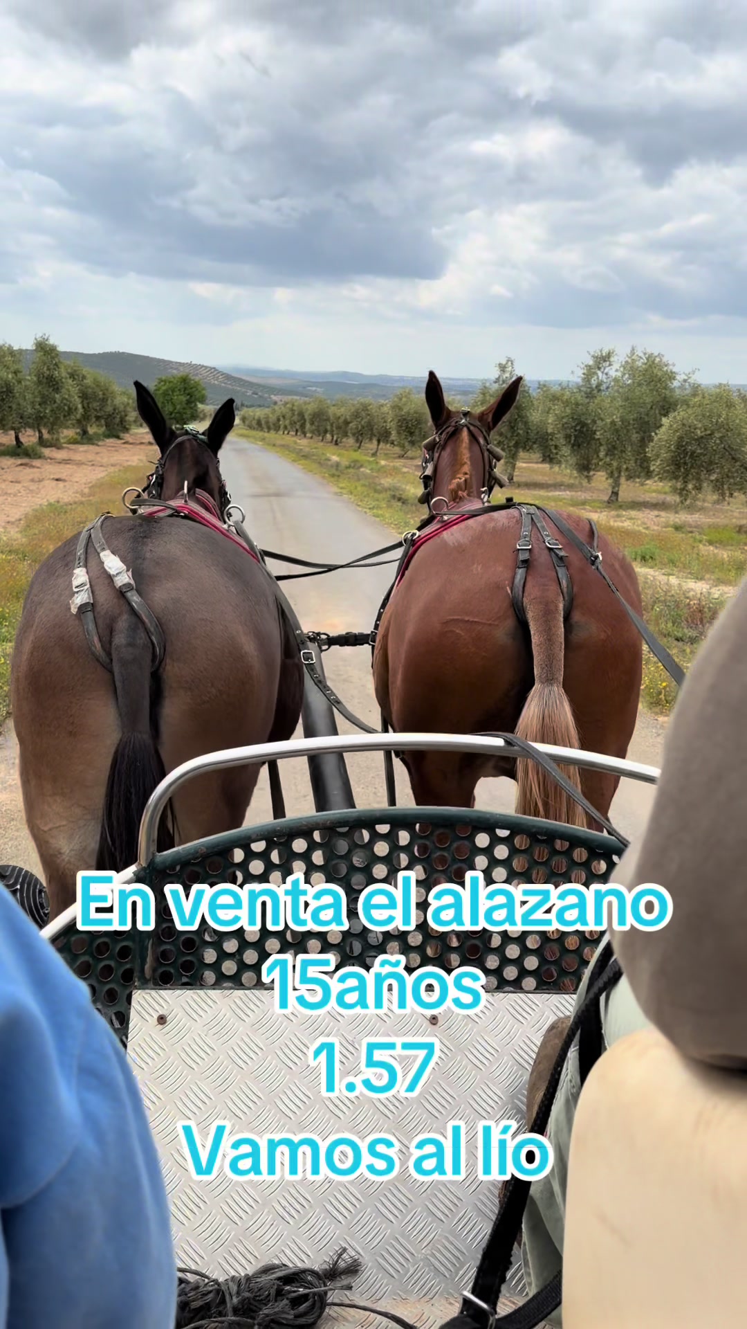 @María del pilar