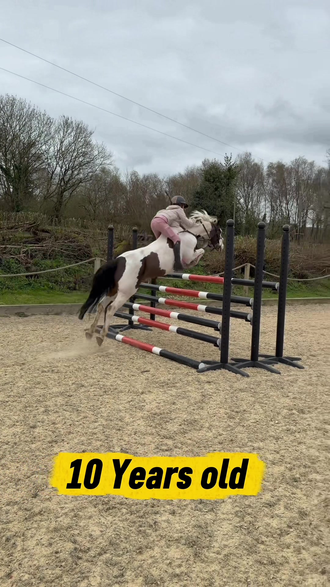 @Jumping With Ivy