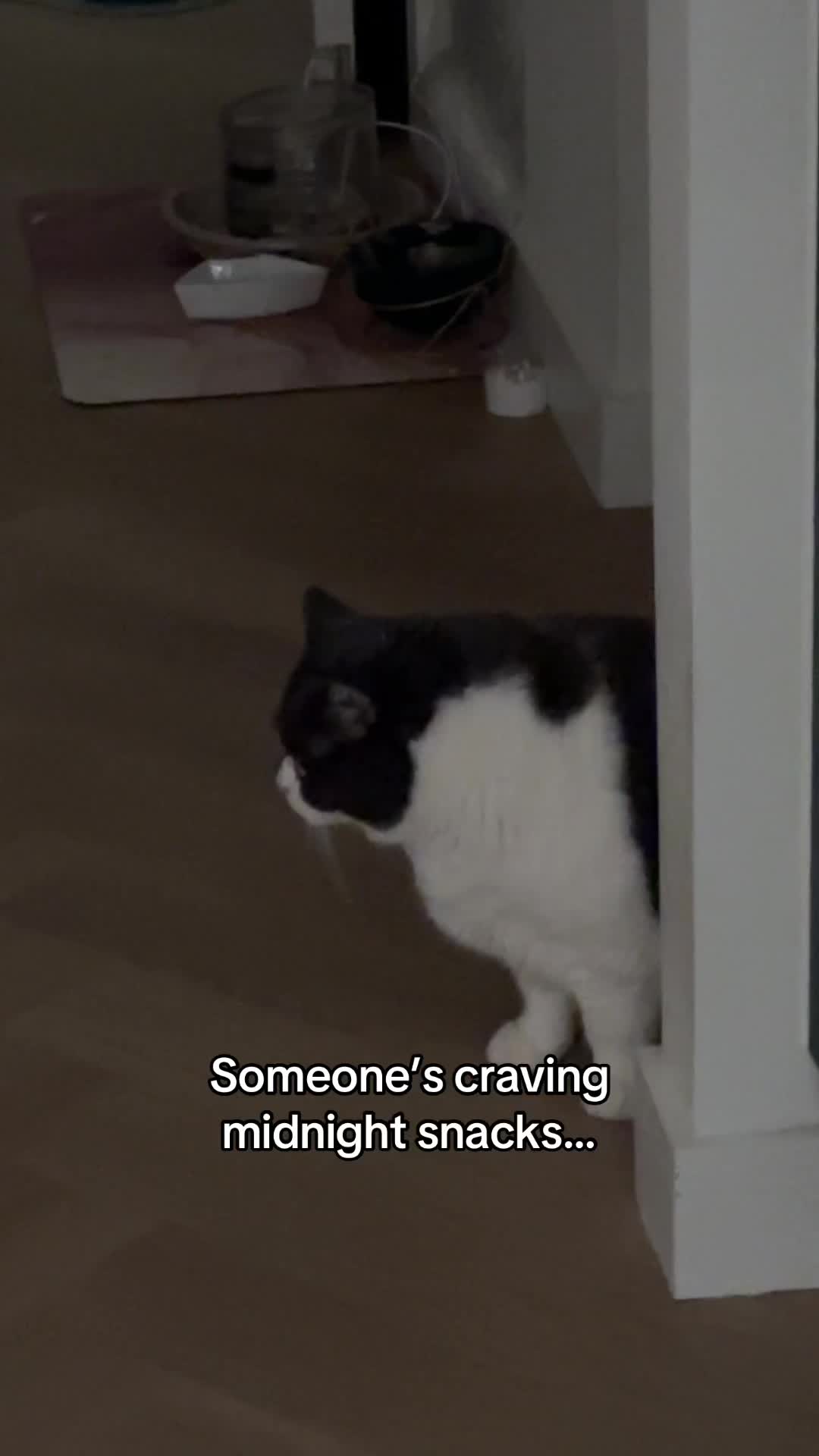 @Emojithecat