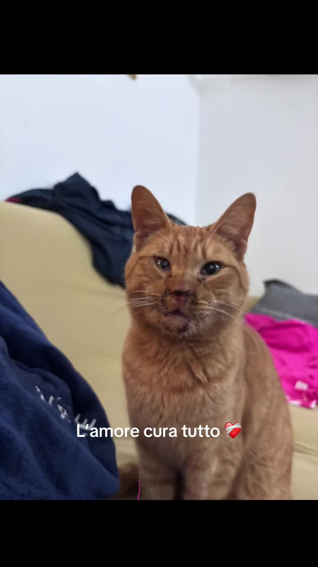 @Emilia Rutyna