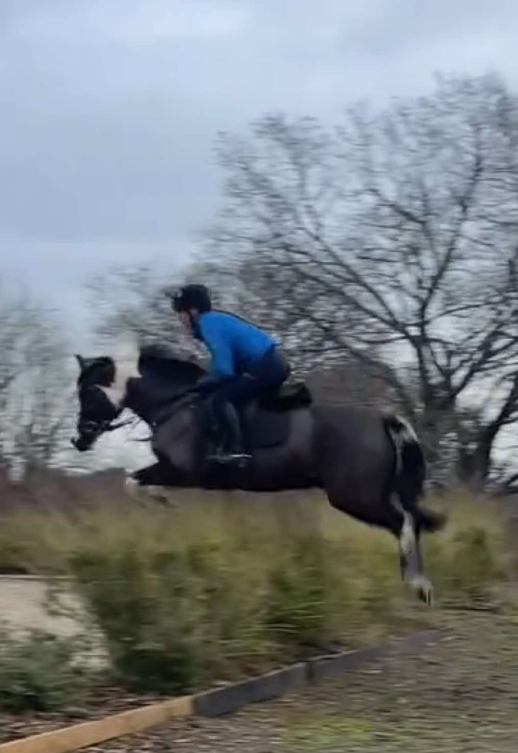 @Aoife haines eventing