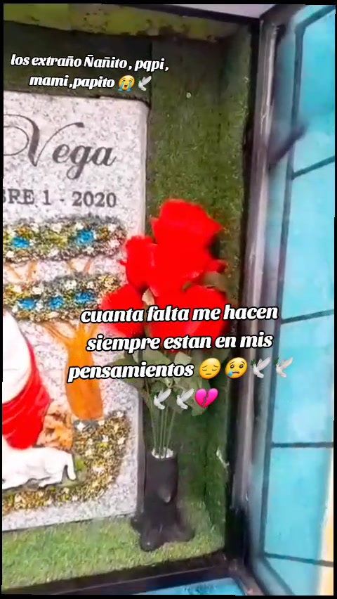 @mari chusin🌺🌸