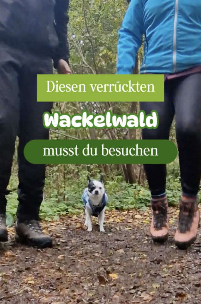 @Drei unterwegs | Ausflugstipps