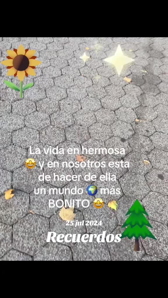 @Zoila