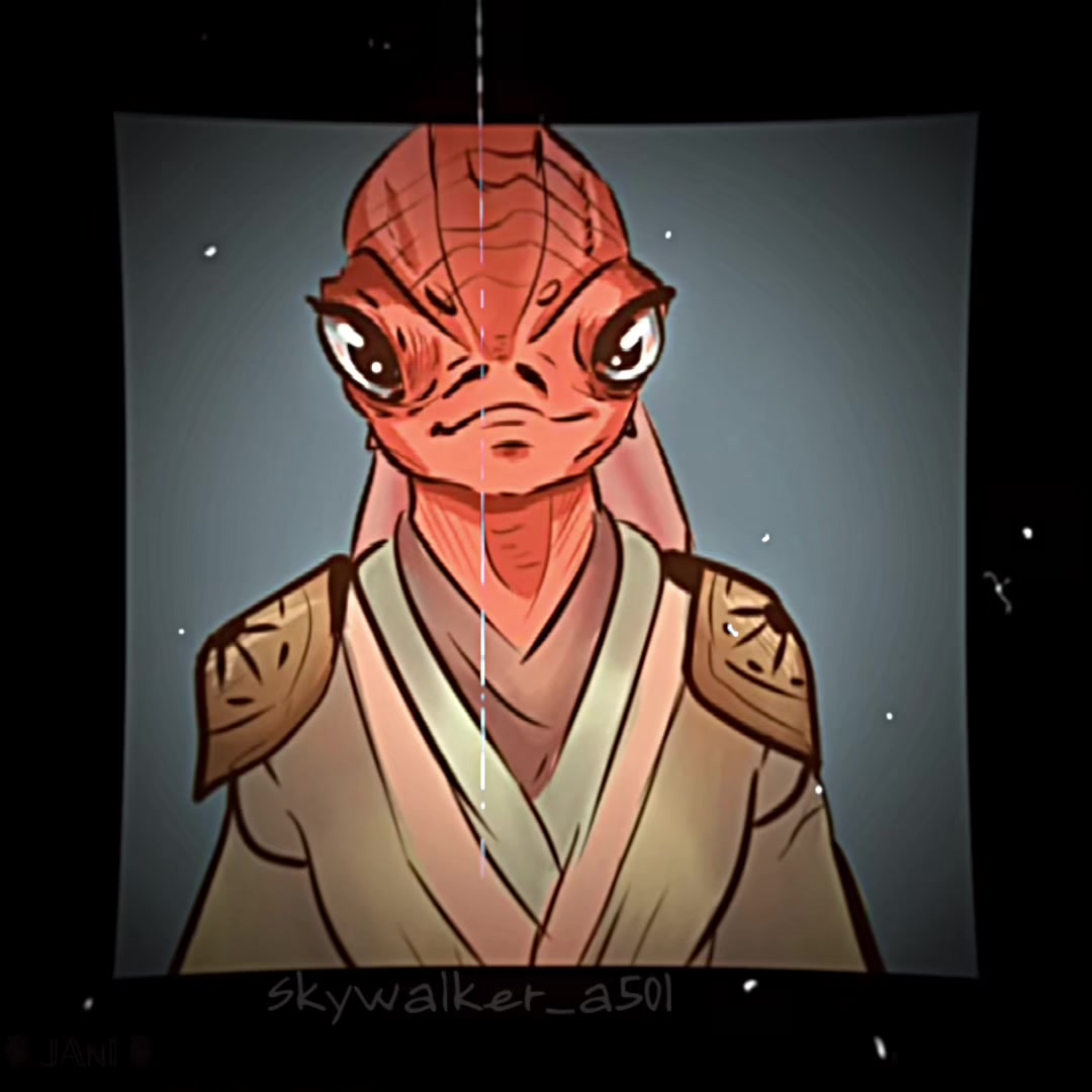@skywalker_a501