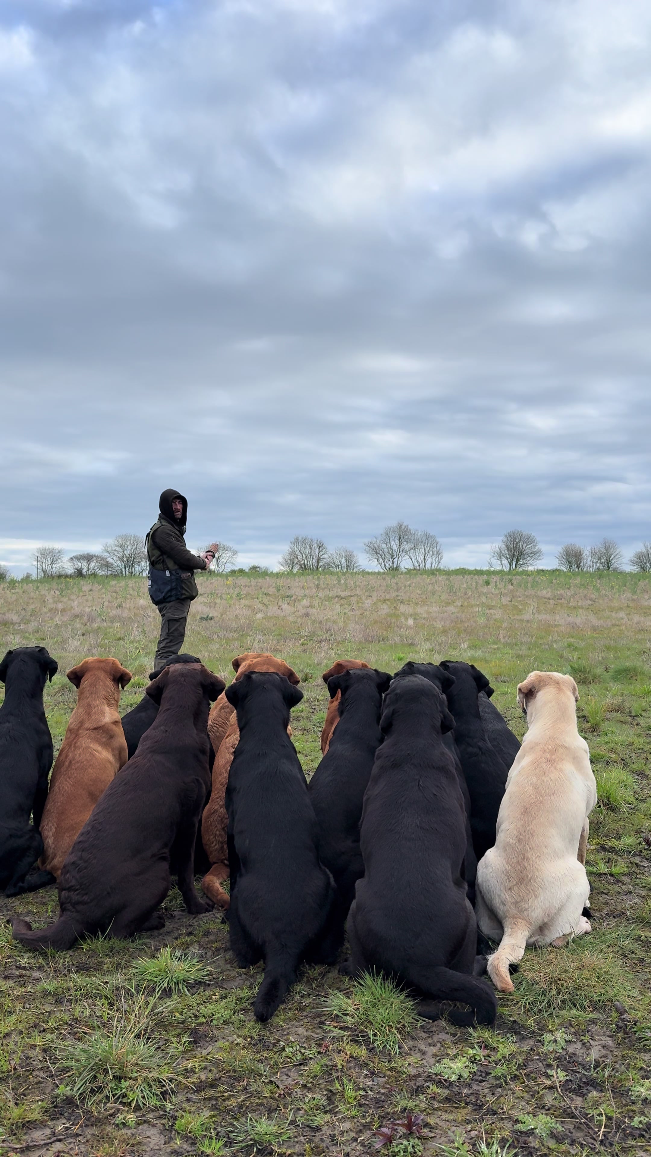 @slingleygundogs