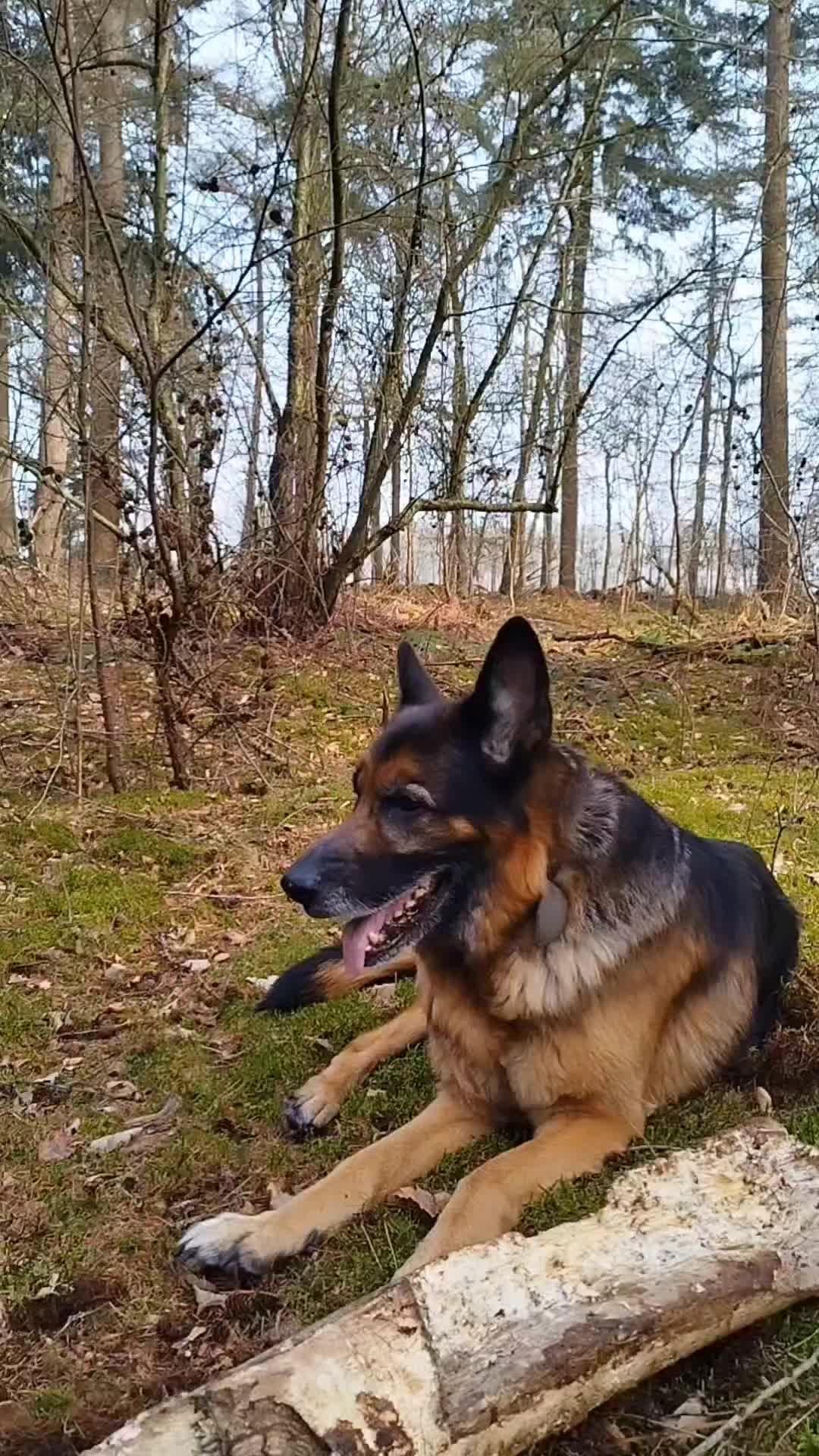 @oskar_mrpl