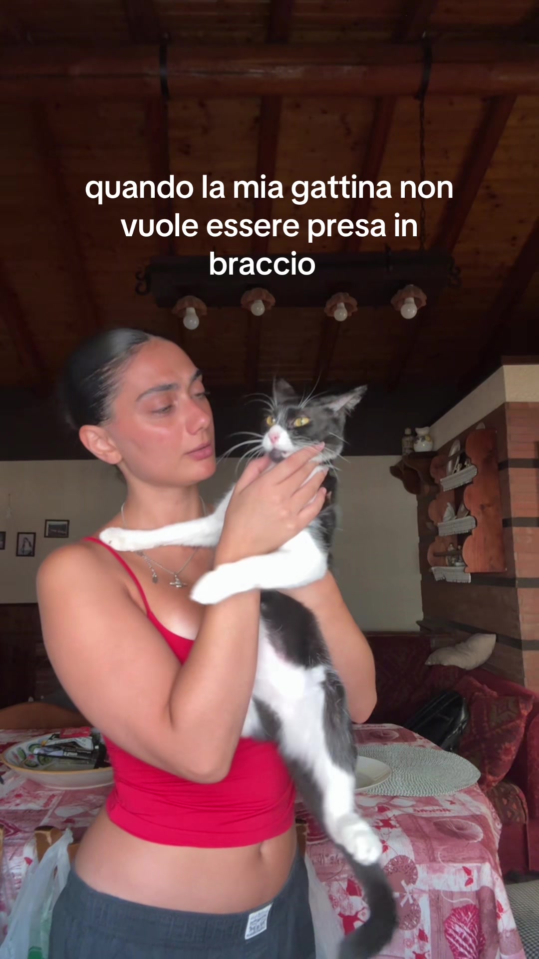 @Lauræn