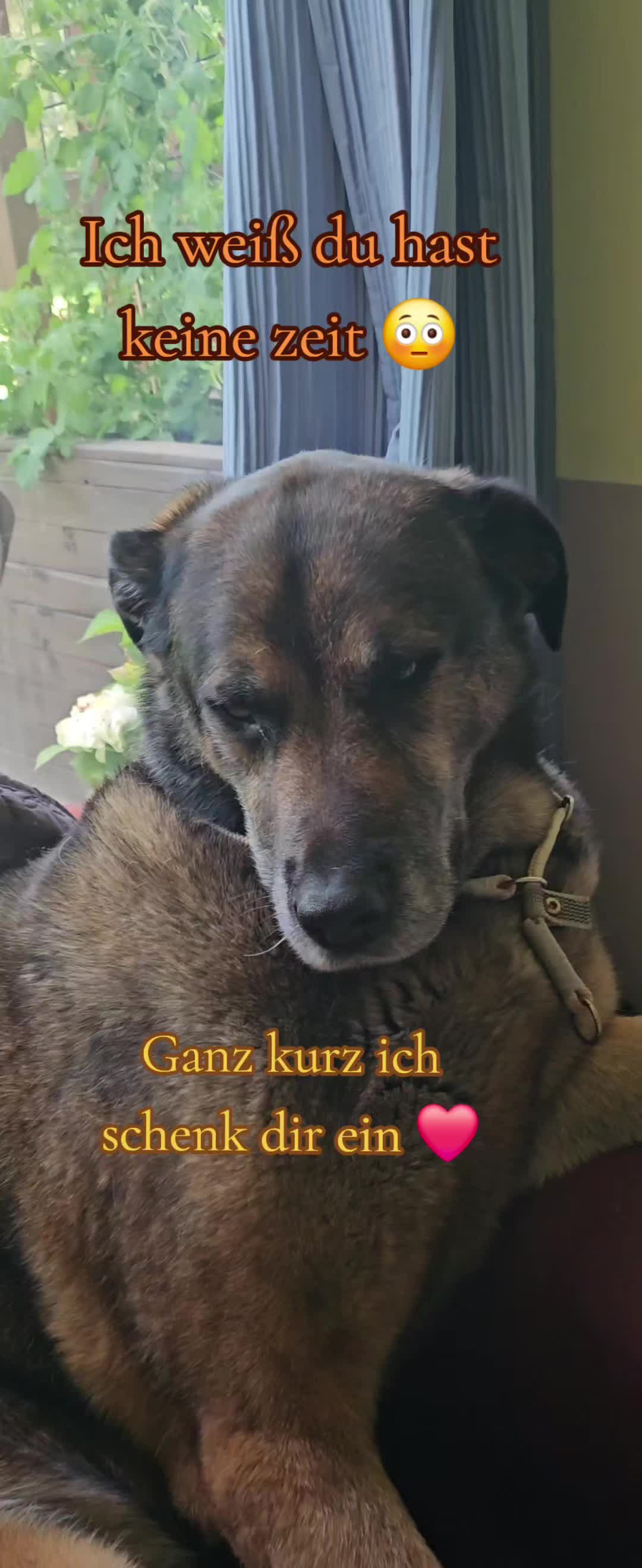 @💝Olle💜Emma🤎Fritz💟Mutti💌