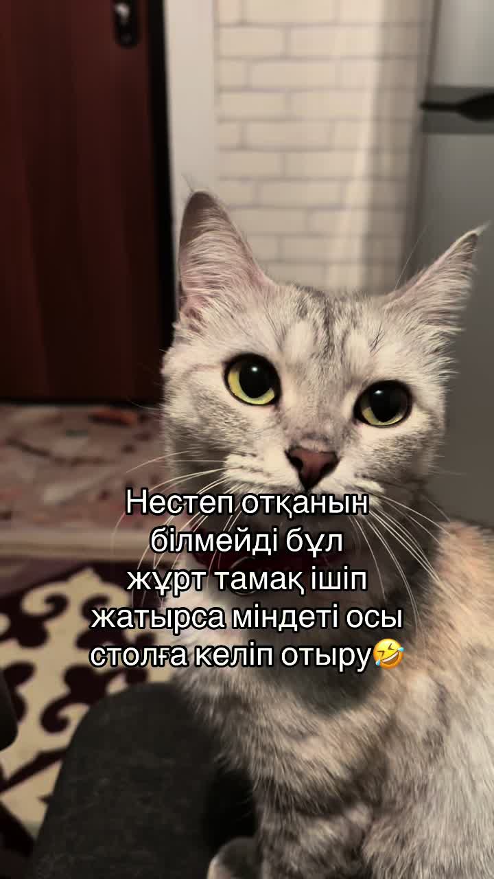 @boni04akx