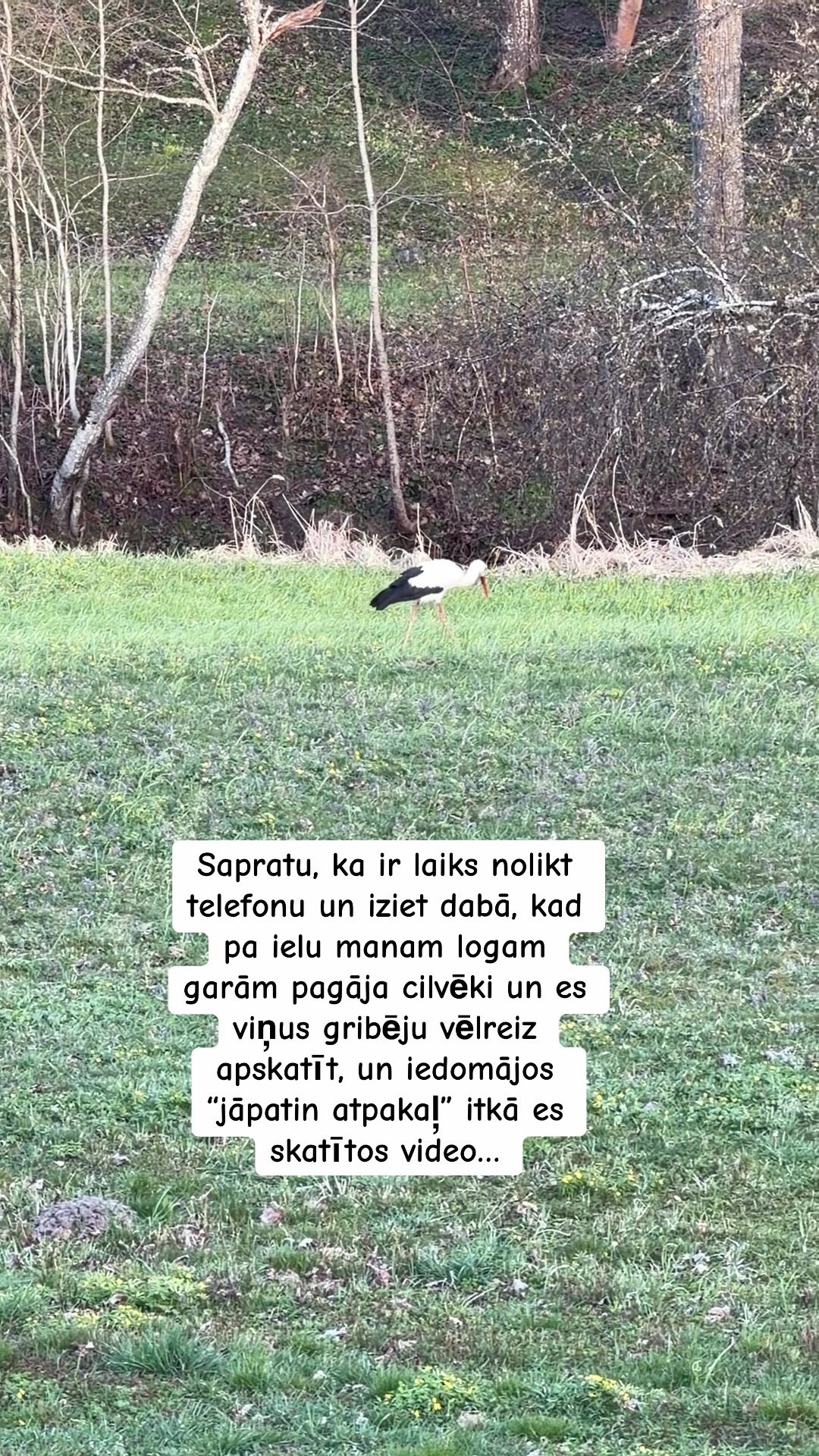 @Niima