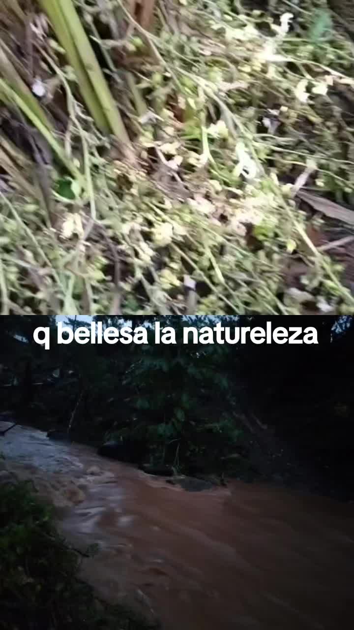 @Maria perez González