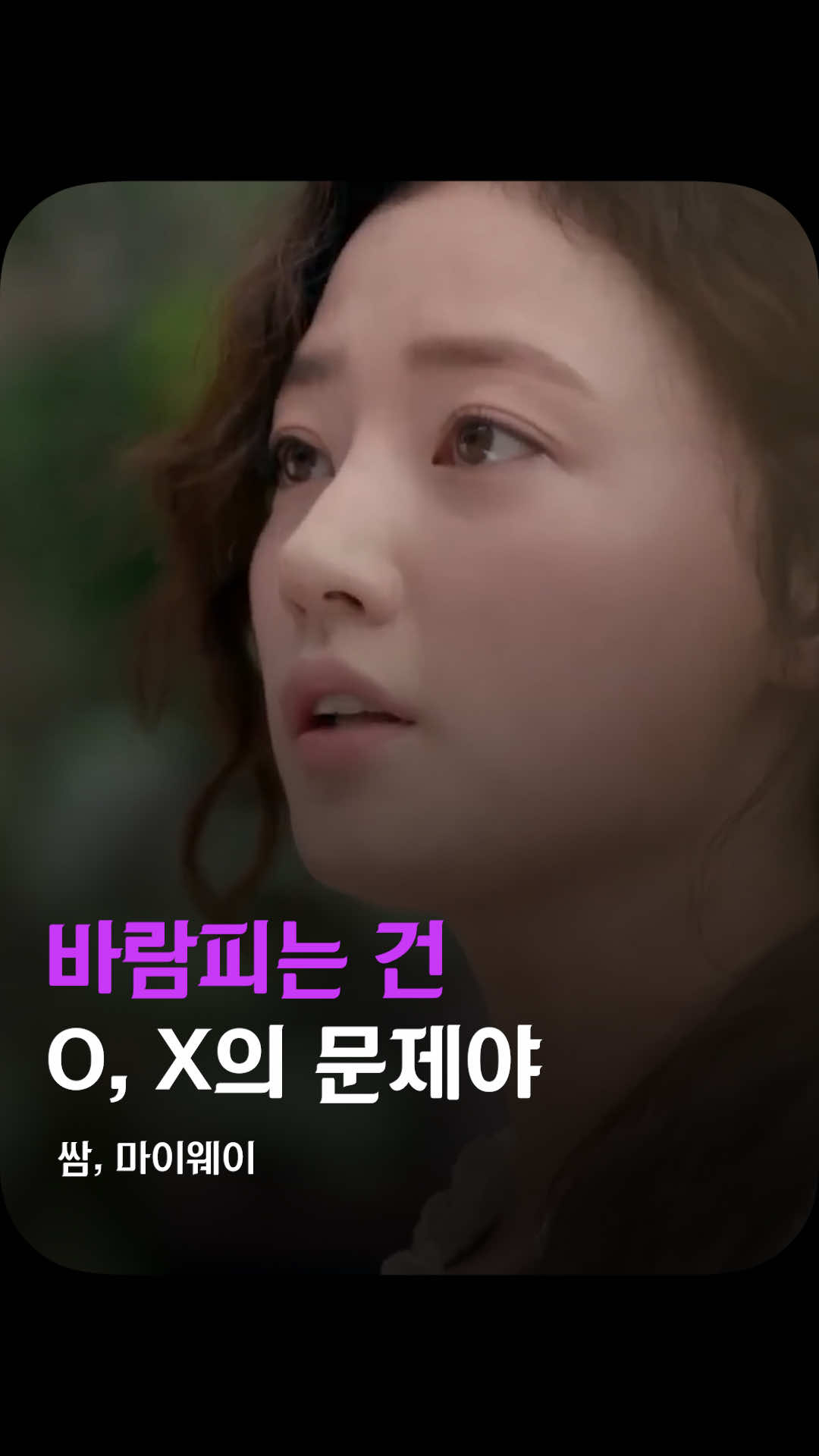 @김쇼츠 tv