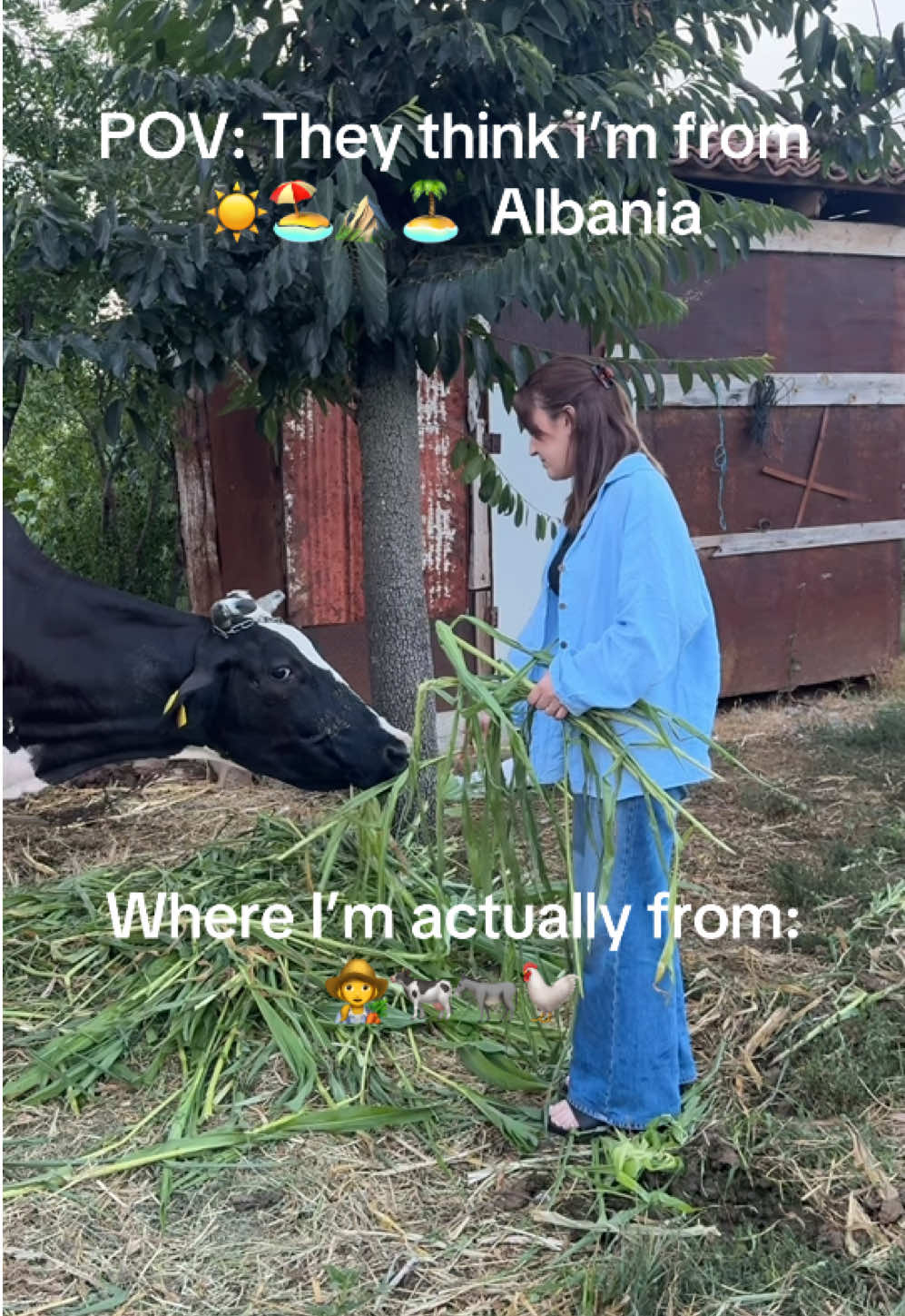@Sara_bami