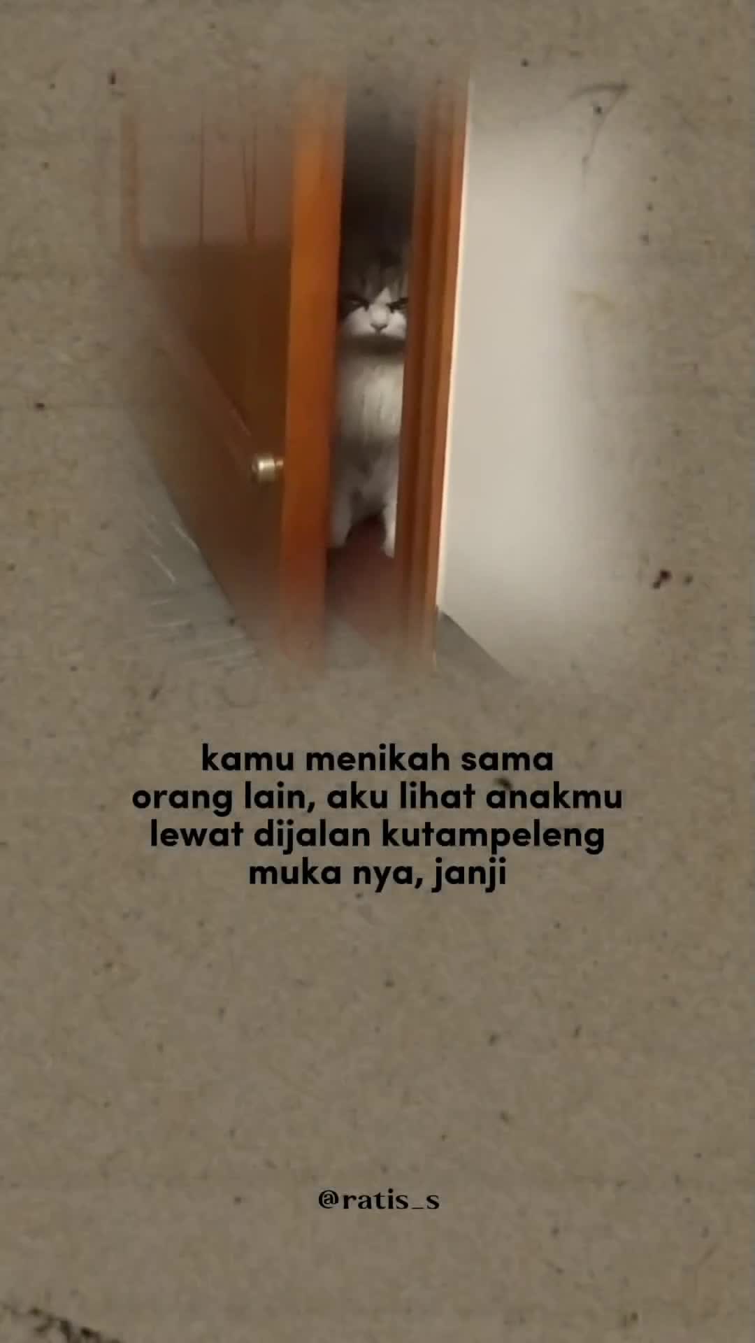 @ratsss