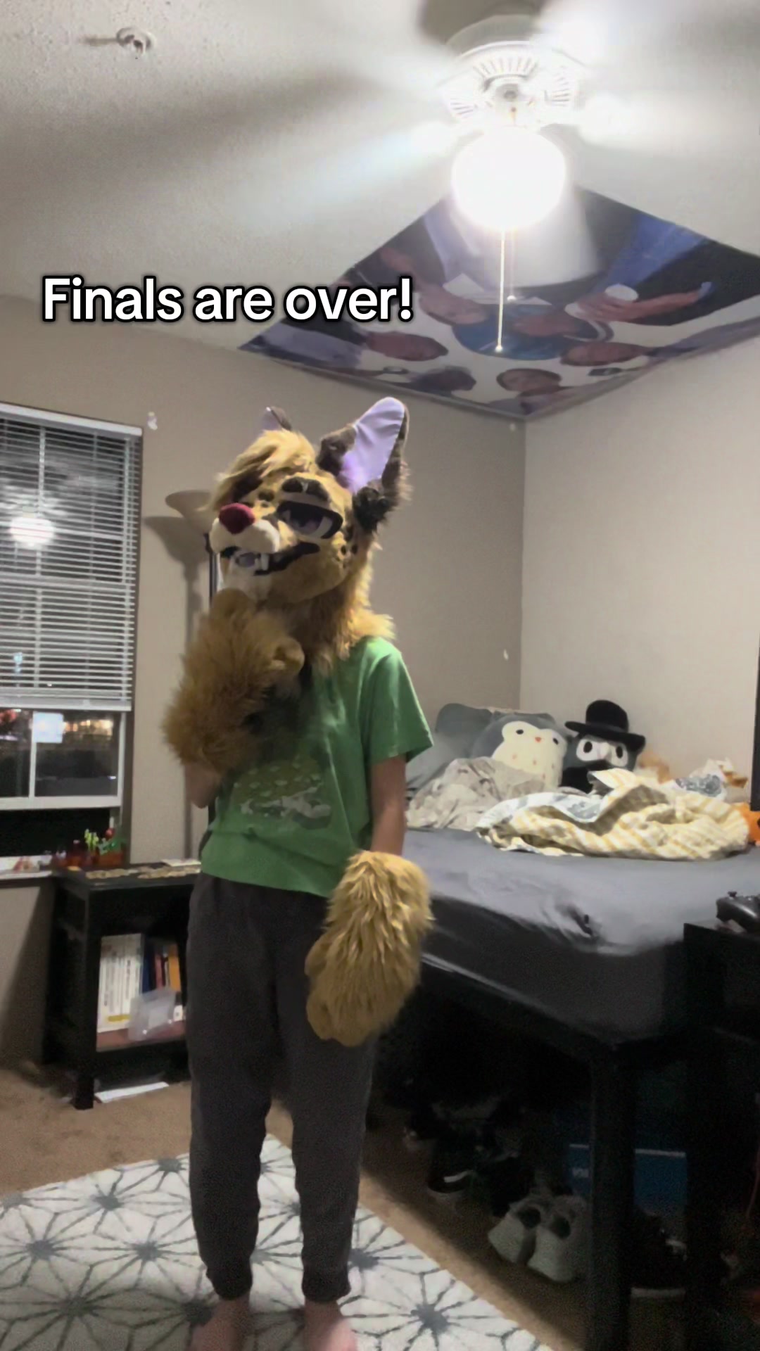 @JudasTheServal