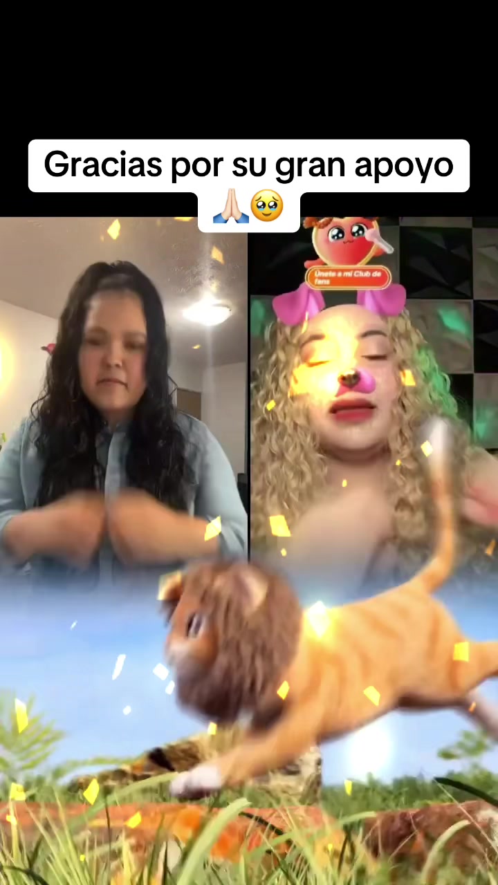 @Alishab Hernandez✅️🦄💙🩷💙🩷