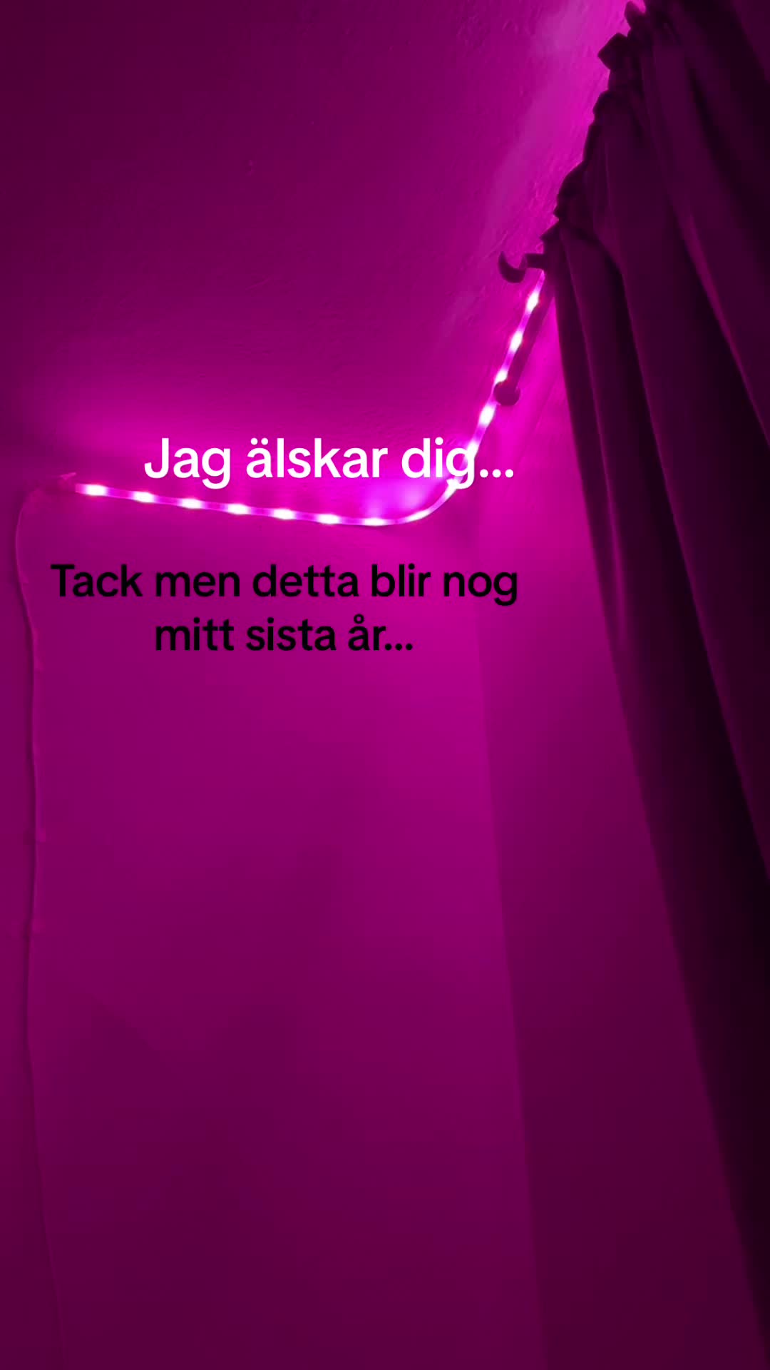 @🕊️🔫