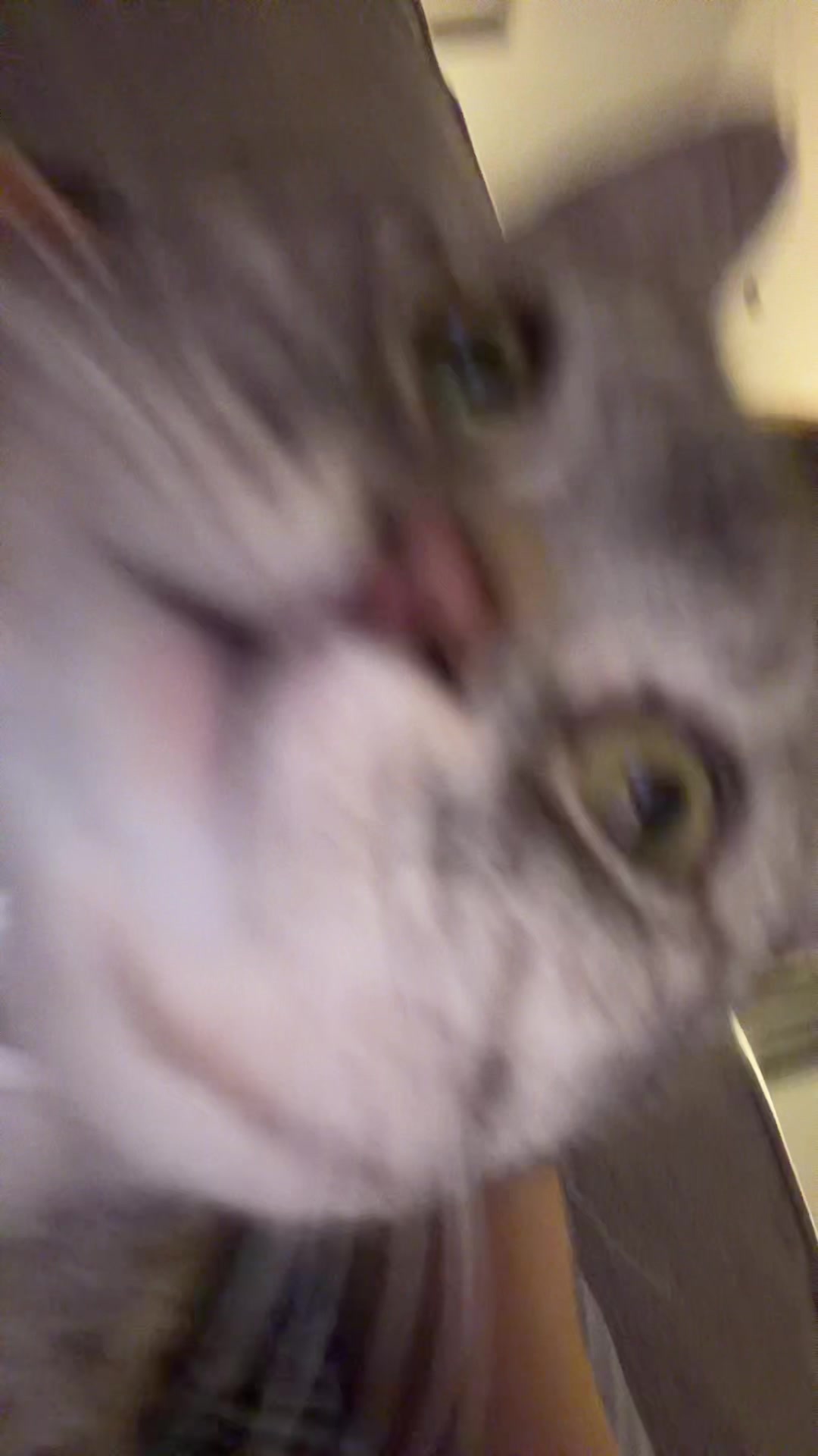 @lara