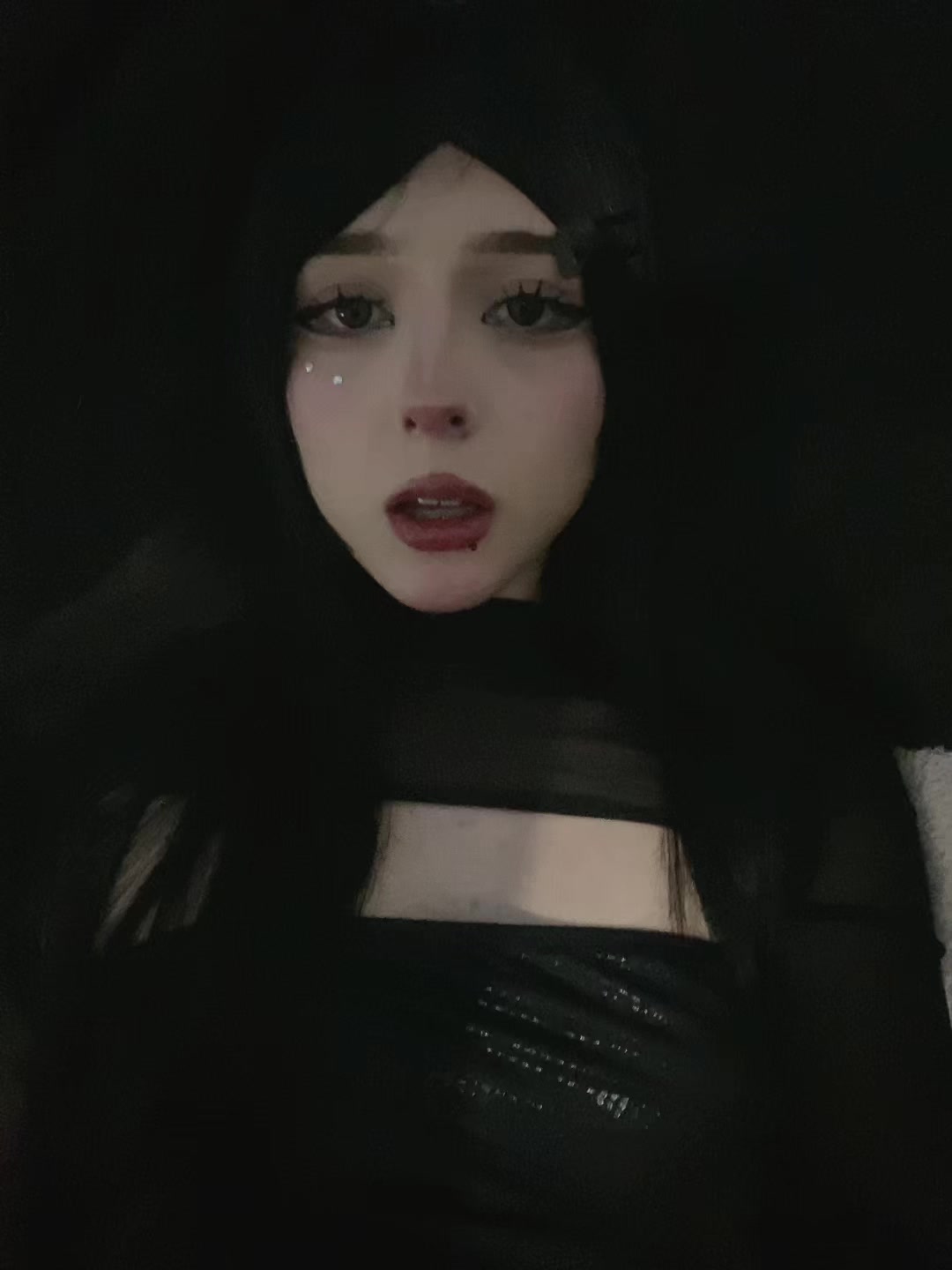 @eternal /ᐠ. 。.ᐟ\